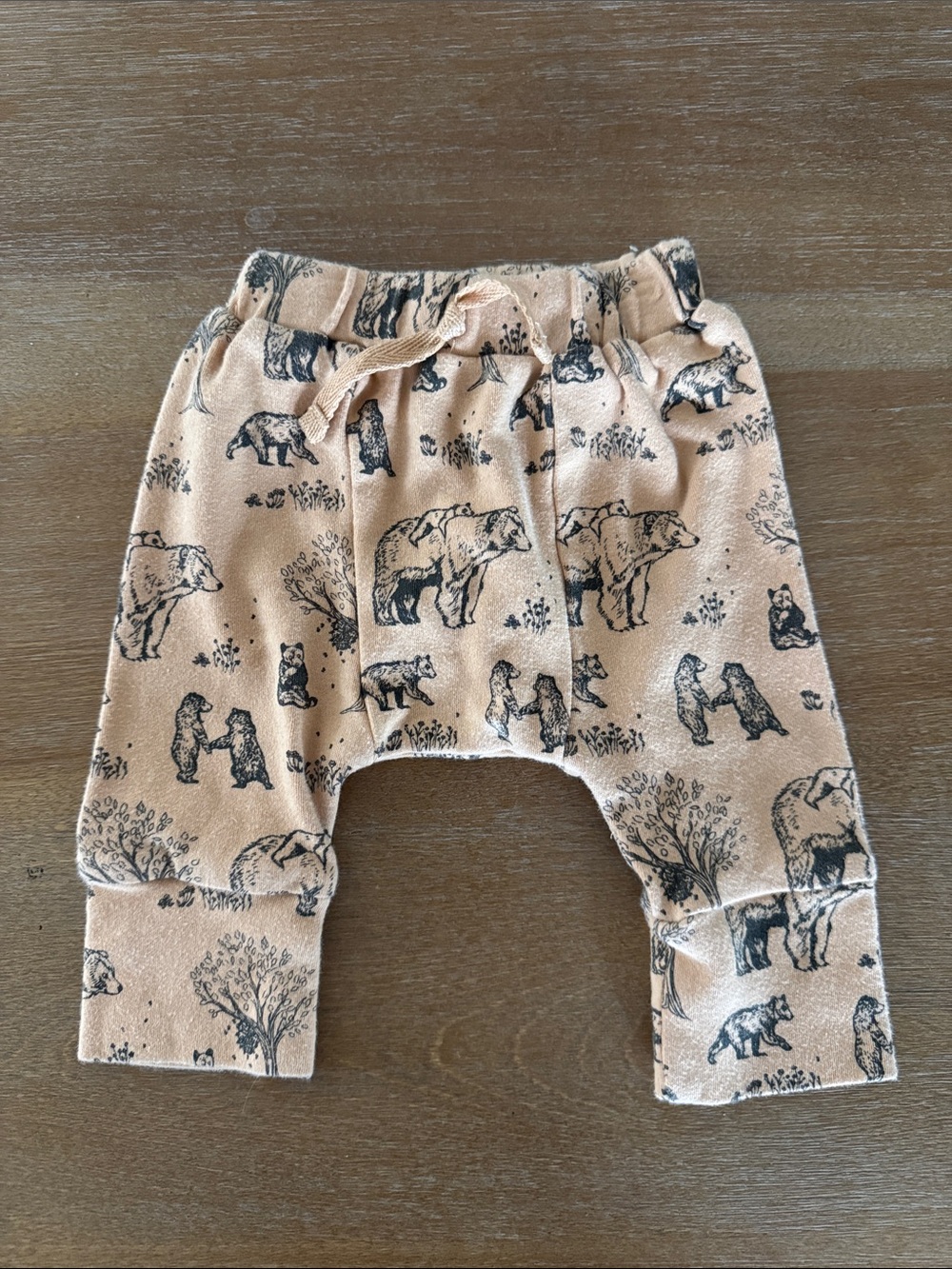 Kate Quinn bear family panda pants